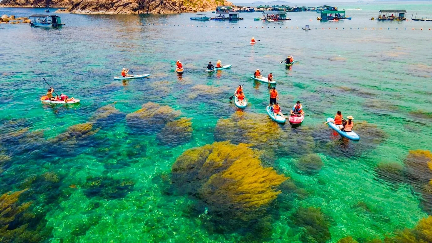 Mùa thảnh thơi · Đón trọn nắng tinh khôi